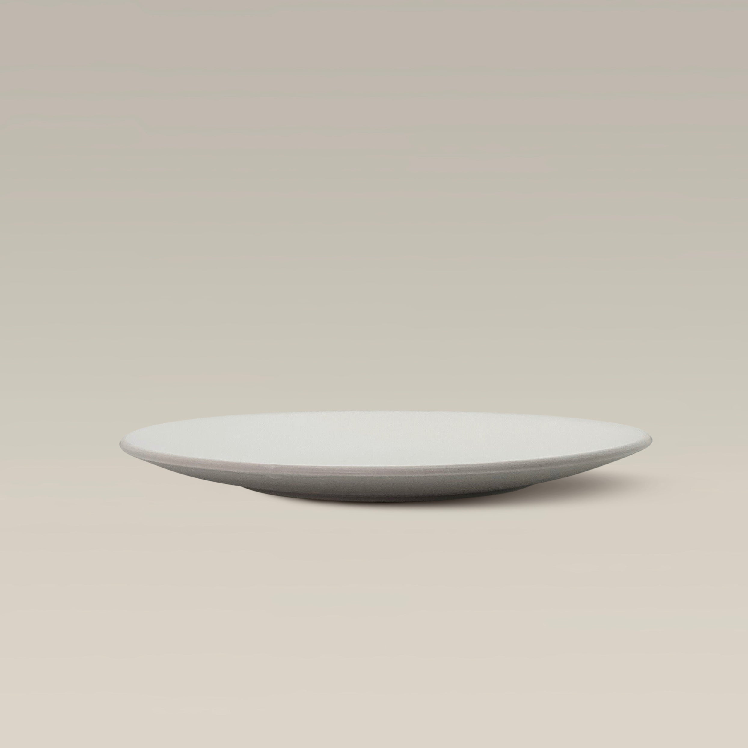 The Contour Dinner Plate Semi-Matte Finish - White by Gather Round